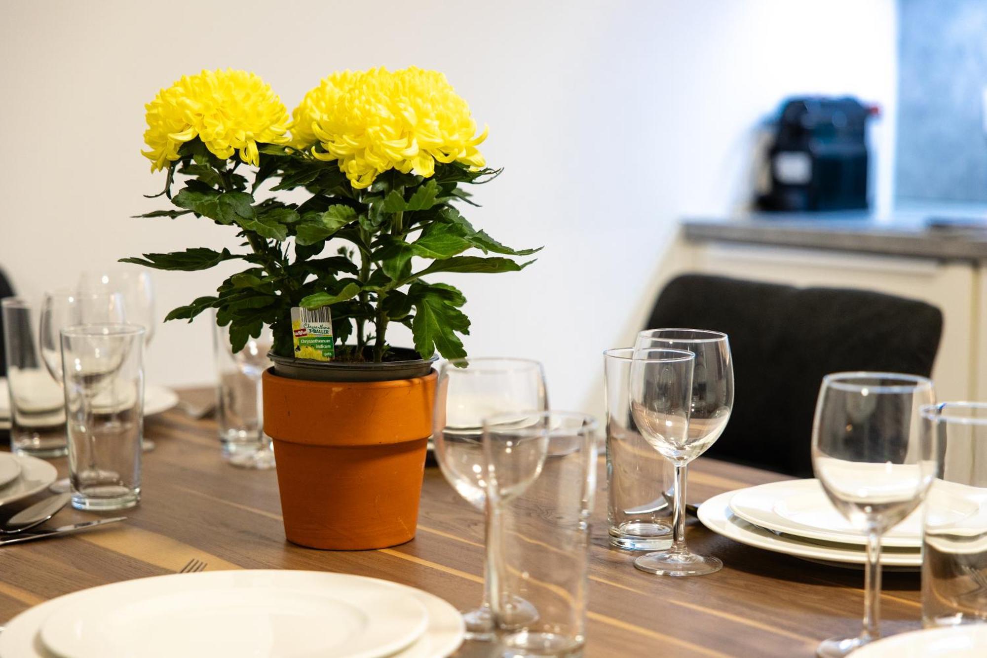 Myapartments Vienna Rooftop Luaran gambar